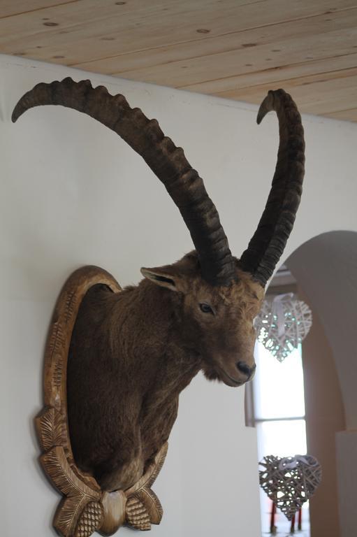 Hotel Albula Berguen ภายนอก รูปภาพ