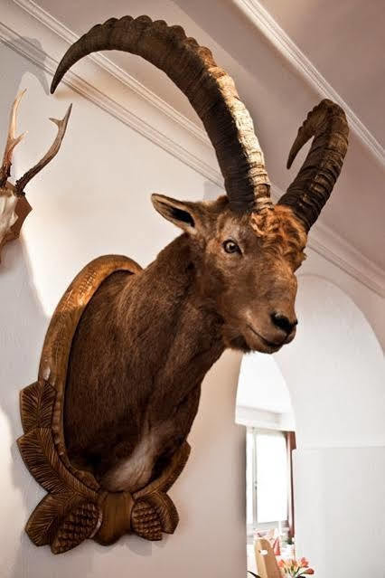 Hotel Albula Berguen ภายนอก รูปภาพ